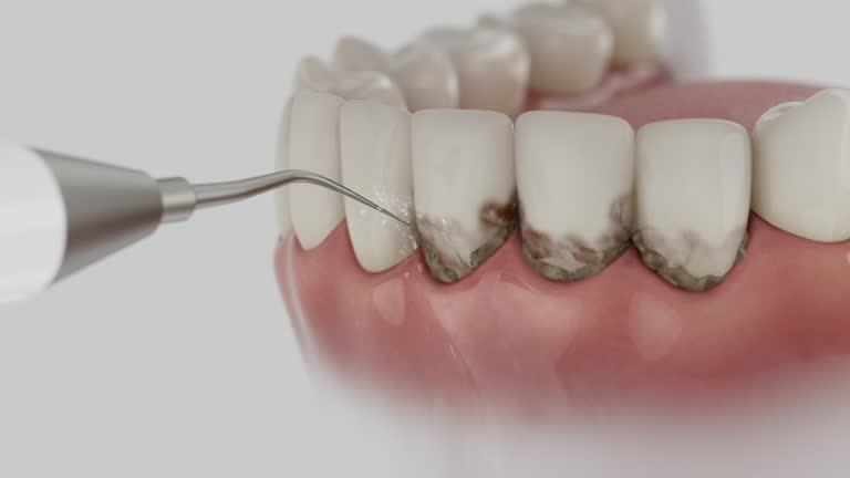 Reliable Dental contractor in Daniel, UT by Dentist Open Now